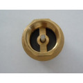 Brass Filter Valve with Plastic Core or Brass Core (a. 0195)